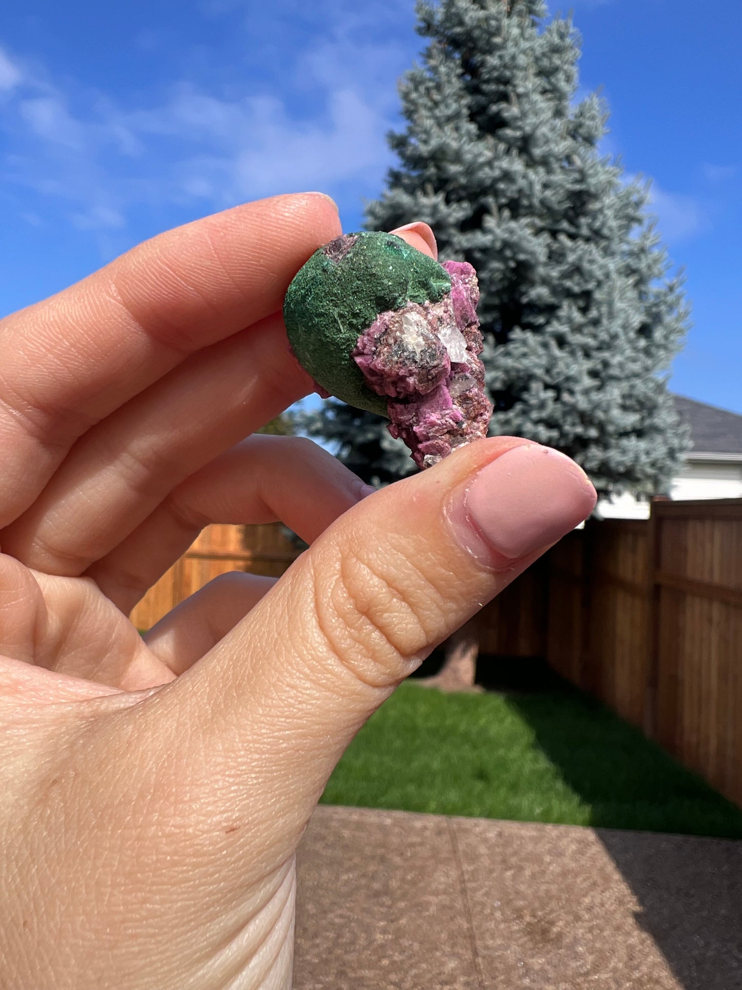 Cobalto calcite with fibrous malachite specimen 44