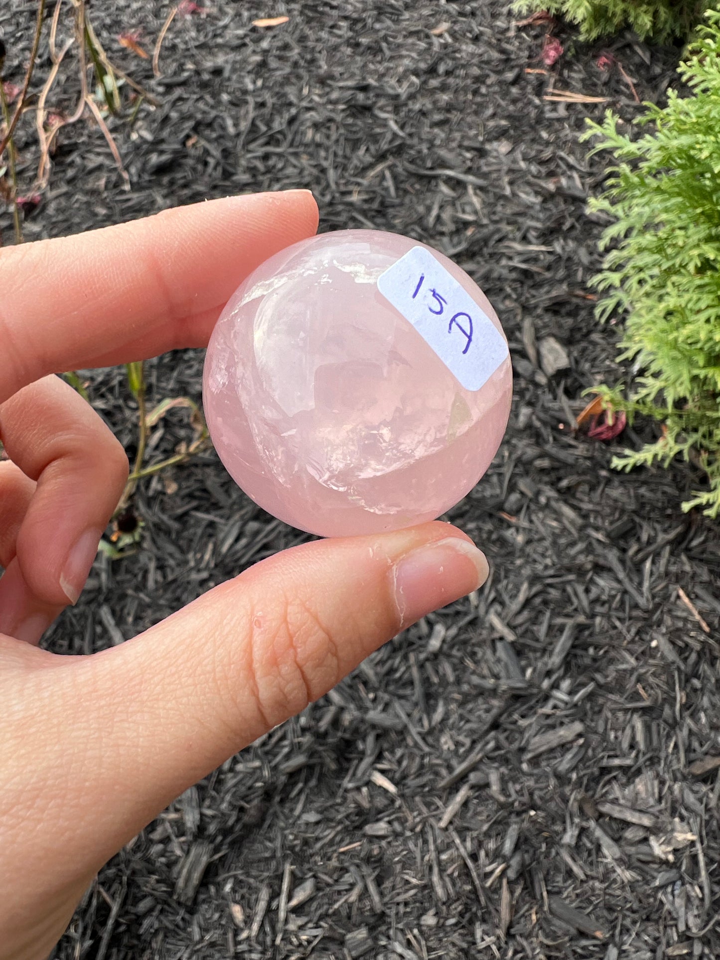 Star rose quartz spheres (SMALLER)