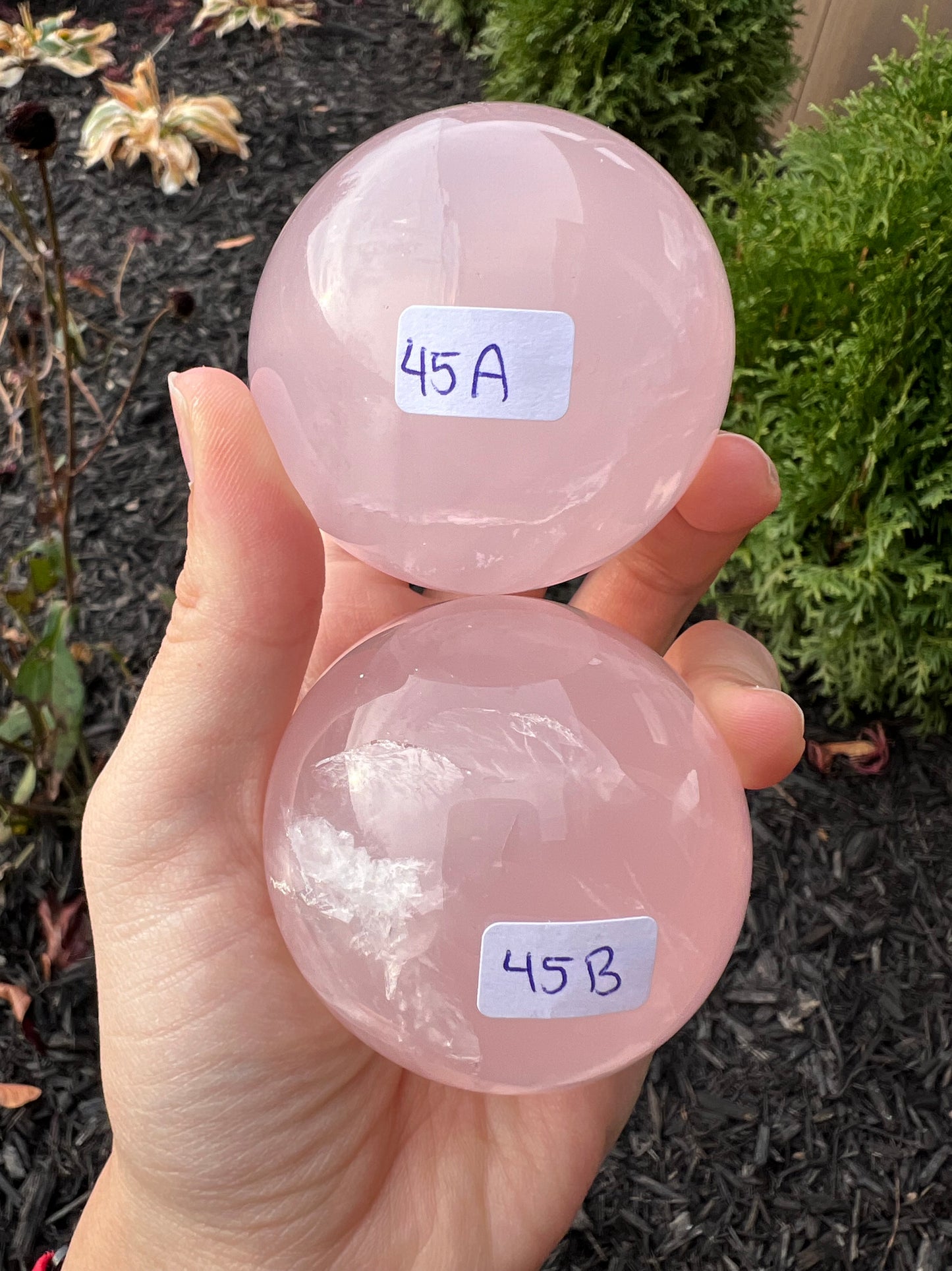 Star rose quartz spheres (LARGER)