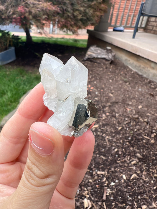 Pyrite and clear quartz specimen 23