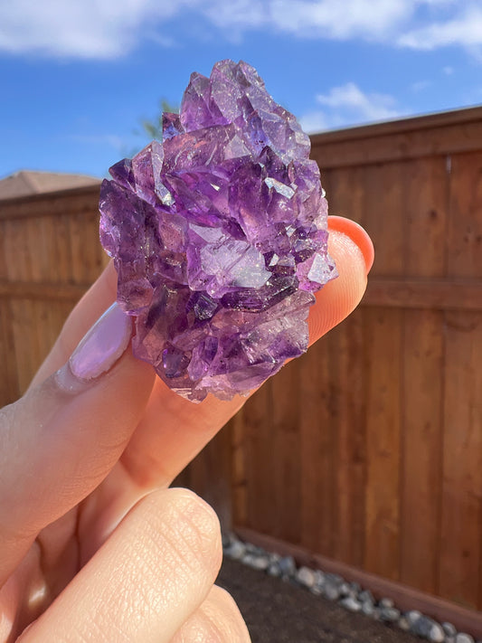 Amethyst specimen 19