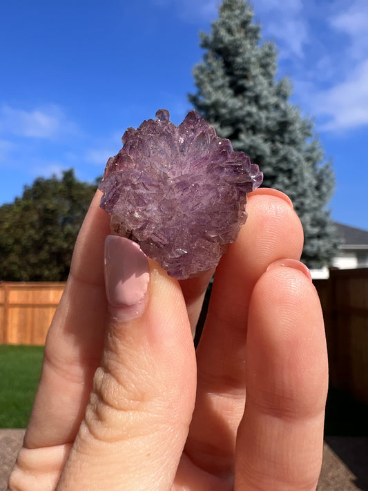Amethyst specimen 16B