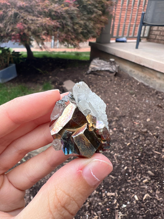 Pyrite and clear quartz with natural iridescence